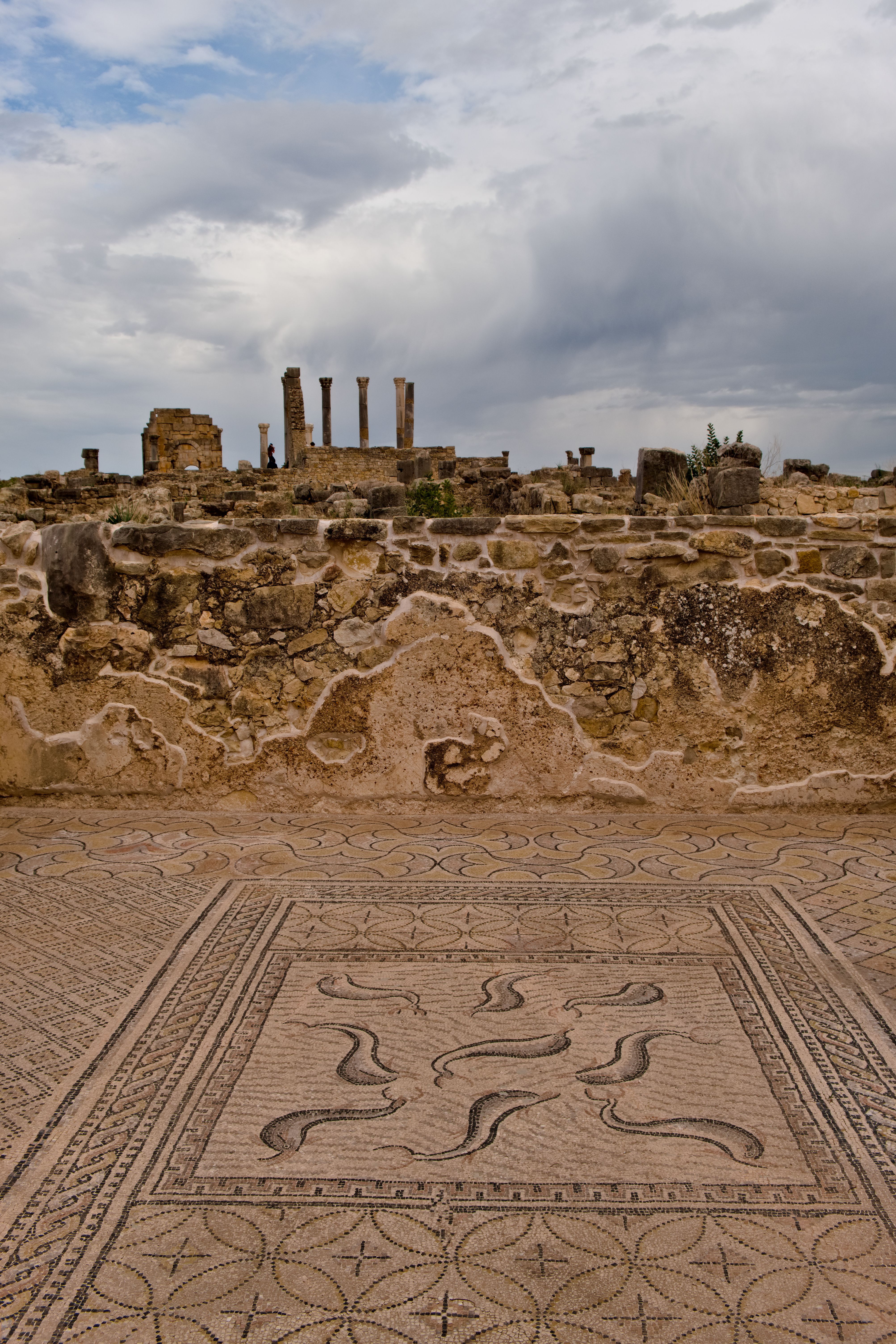 Ancient site of Volubilis Morocco
